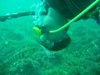 buceando en pacifico